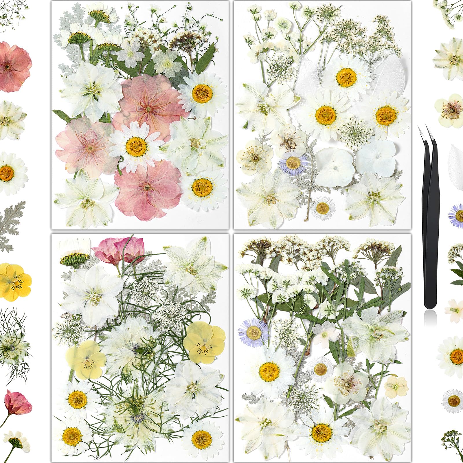 HLCYGJIN 86Pcs Dried Flowers - dried and preserved flora | Mubboo