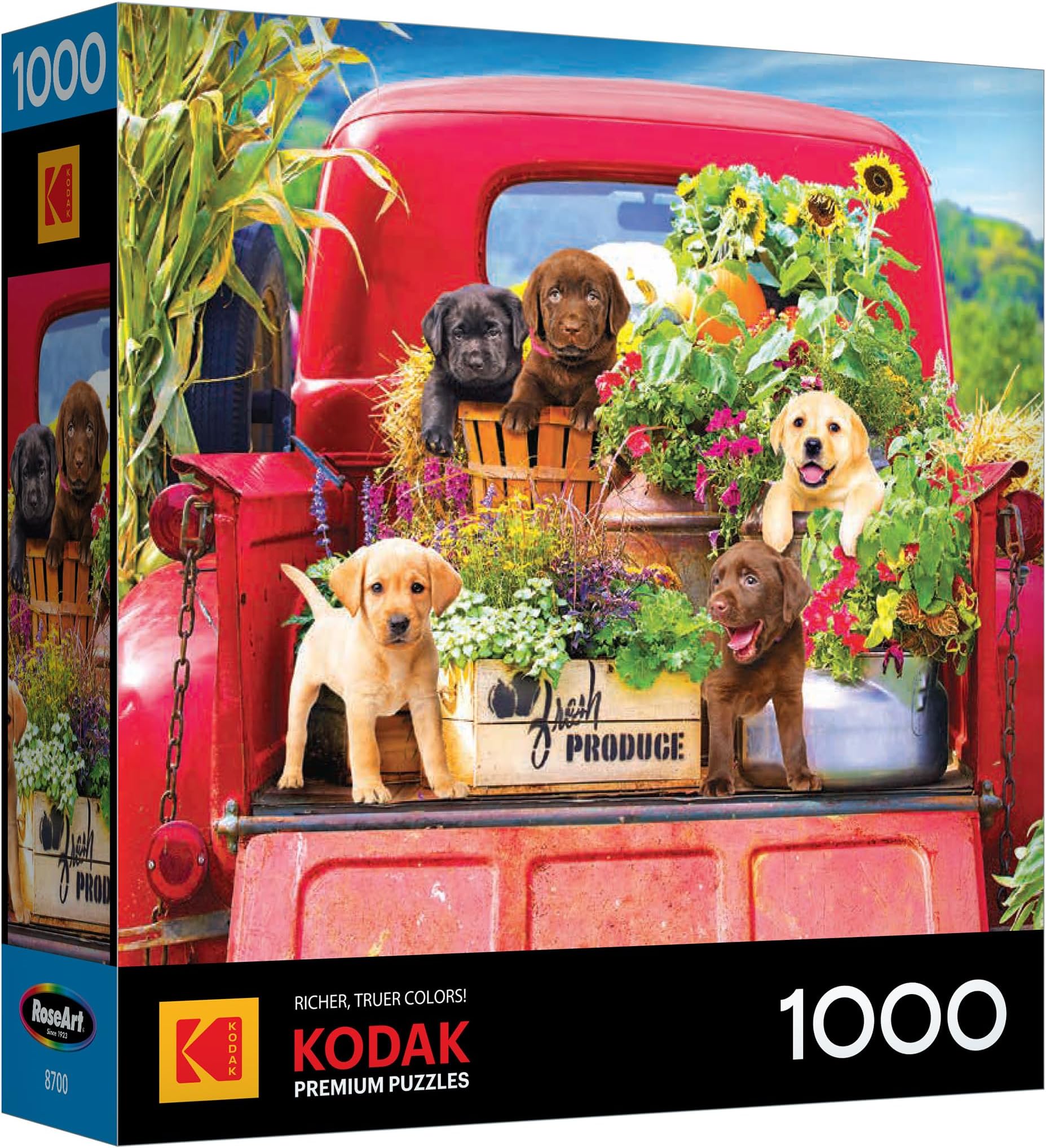 RoseArt Kodak Premium Stowaways 1000 Piece Jigsaw Puzzle for Adults | 20" x 27" Finished Size, Fully Interlocking Pieces