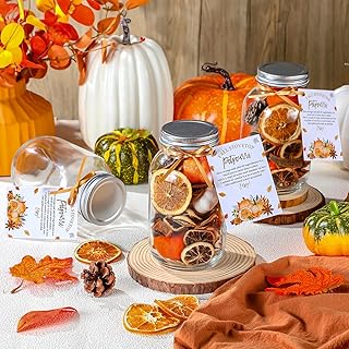 12 Set Fall Stovetop Potpourri Mason Jars with Tags Empty 33.8 oz Thanksgiving Simmer Pot Potpourri Gift Glass Jar with Stovetop Simmer Tags Kit for Autumn Home Christmas Party Holiday Gift