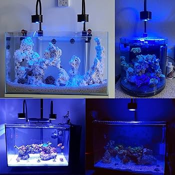 KR93SP 76cm 海水魚LEDライト KR93SP 76cm 海水魚LEDライト KR93SP 76cm 海水魚LEDライト KR93SP