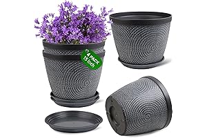 Cost-effective and Versatile: Uplift Your Garden with Large Clearance Outdoor Plant Pots!