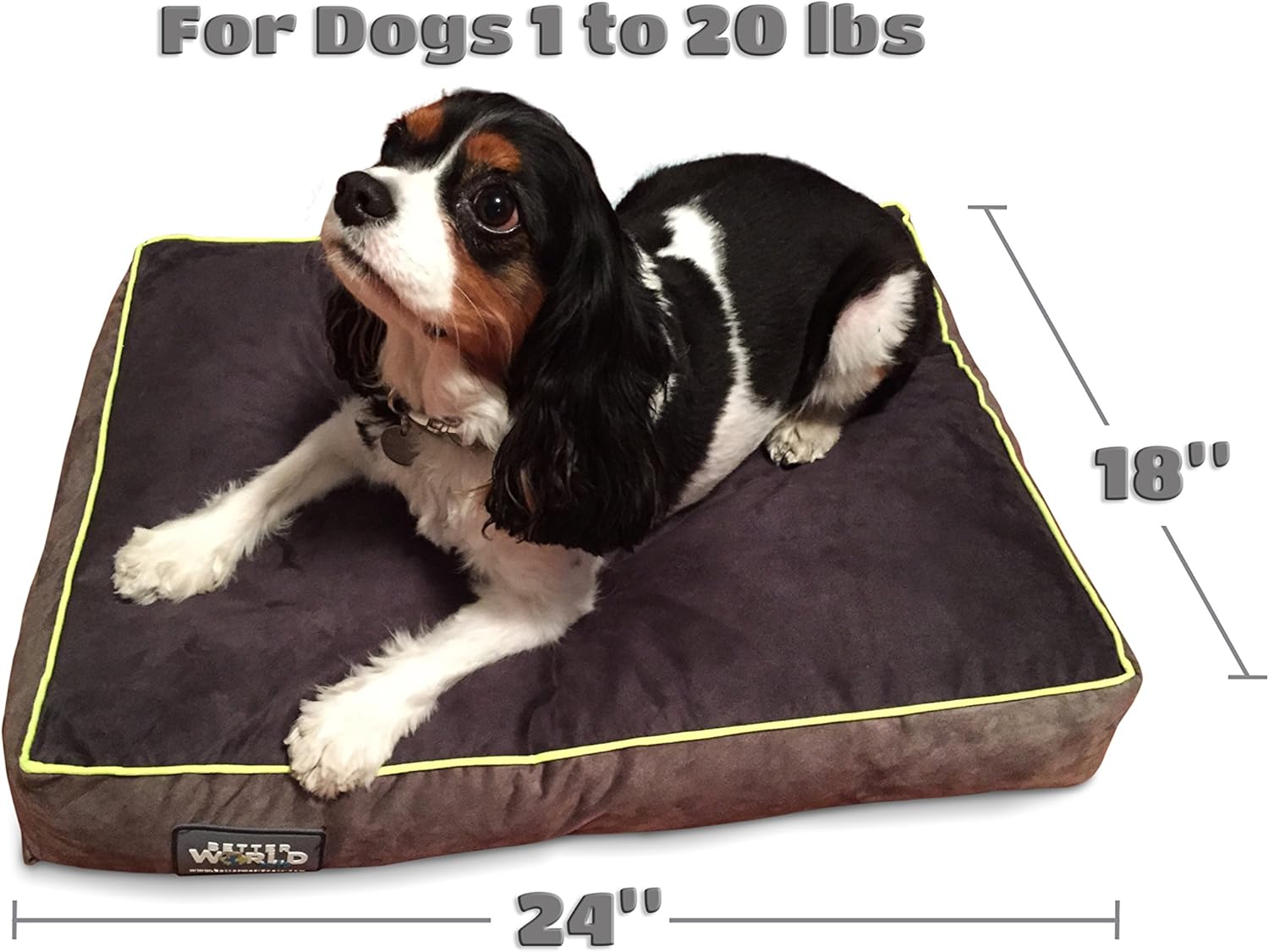 Unleash Comfort: The Ultimate Orthopedic Dog Bed for Your Aging Pup!