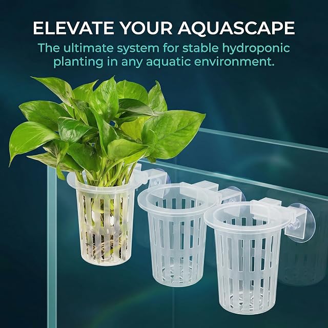 Foto 5 de 8 de EAAGHK 45PCS Kits de Soportes para Plantas de Acuario