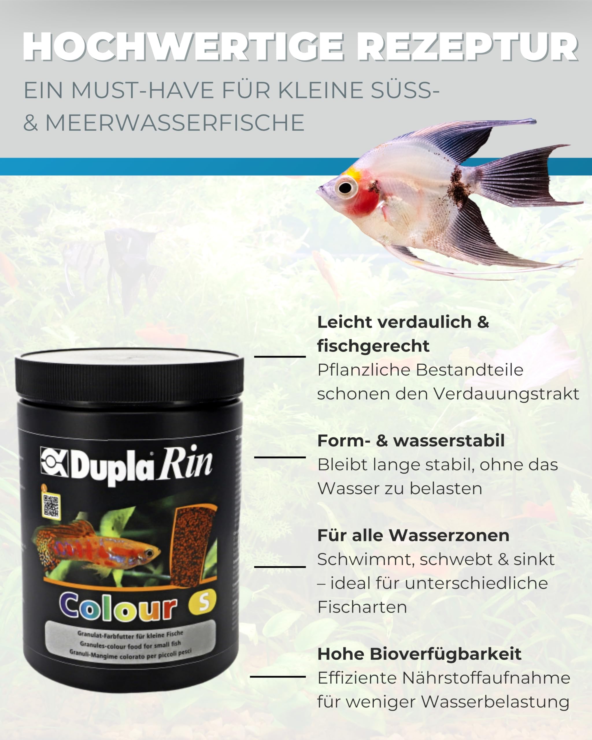 Dupla DuplaRin Granulat Colour S I 500 g I farbverstärkendes Granulatfutter für kleine Süß- und Meerwasserfische I Zierfischfutter für Intensive Farben & gutes Wachstum I nährstoffreiches Fischfutter