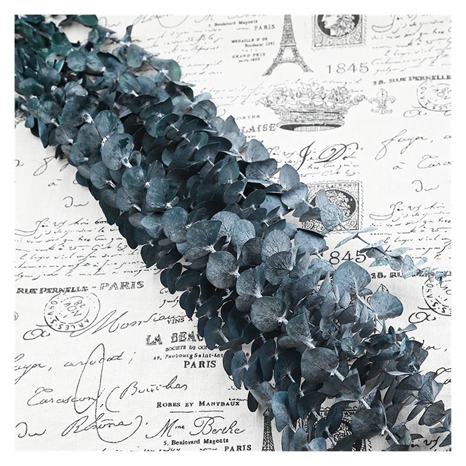Fleurs séchées naturelles 60g, Eternell préservé arrangez des fleurs sèches pour les accessoires de décoration de la soirée de mariage, la nature séchée véritable eucalyptus Décoration de fête de mari