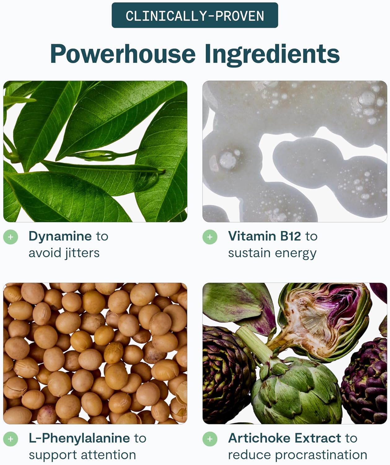 Thesis Motivation - Nootropic Brain Support Supplement - Promotes Healthy Brain Energy, Focus & Beat Procrastination - Artichoke Extract, Dynamine, L-Phenylalanine & L-Theanine - 24 Servings