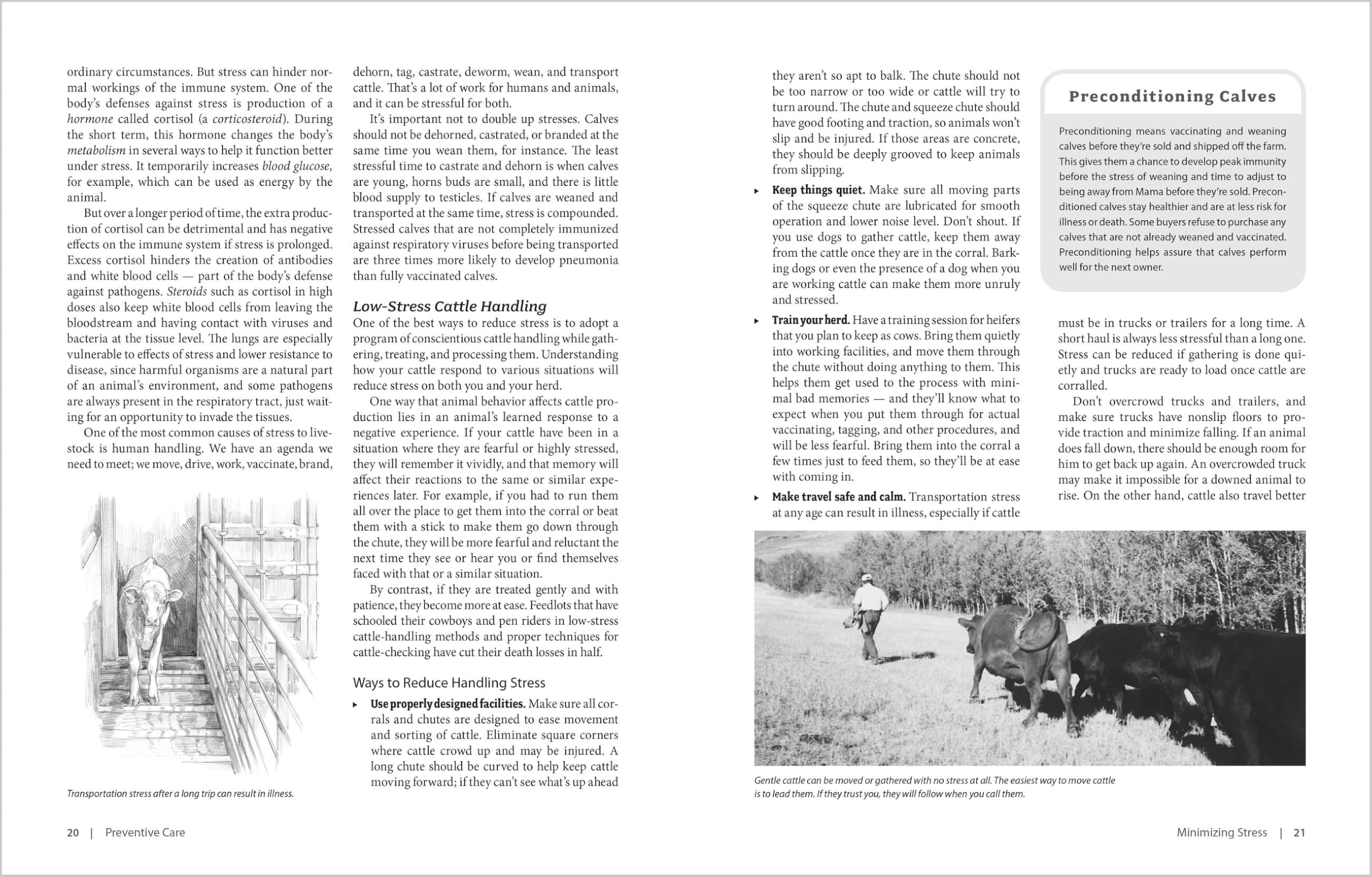 The Cattle Health Handbook: Preventive Care, Disease Treatments & Emergency Procedures for Promoting the Well-Being of Your Beef or Dairy Herd
