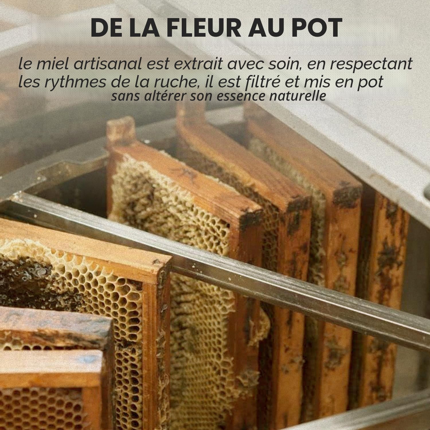 L'Abella Mel | Miel d'Eucalyptus Pur 100% Naturel | Miel d'Abeille Sans Additifs ni Sirops Ajoutés | Apiculture Familiale Depuis 4 Générations | Pot 3 kg