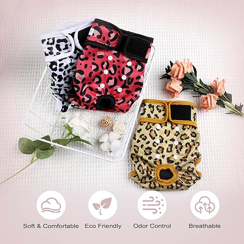 Miniatura 6 de Paw Legend - Pañales reutilizables para perro hembra, 3 unidades