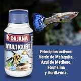 Ver la foto 4