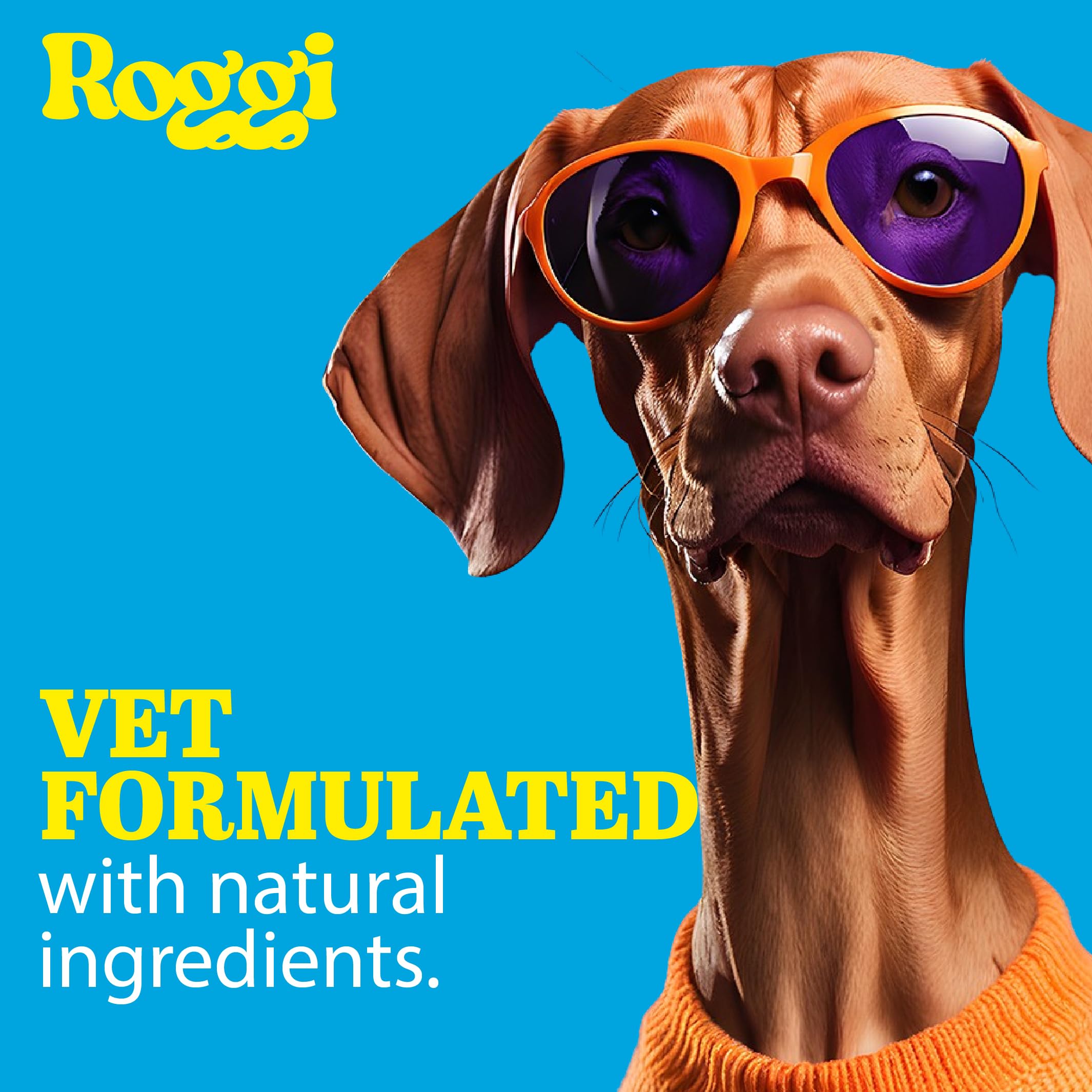 ROGGI Joint Care Chews for Dogs Joint Supplements for Dogs Glucosamine for Dogs Dog Joint Supplements For Senior Dogs - Image 3