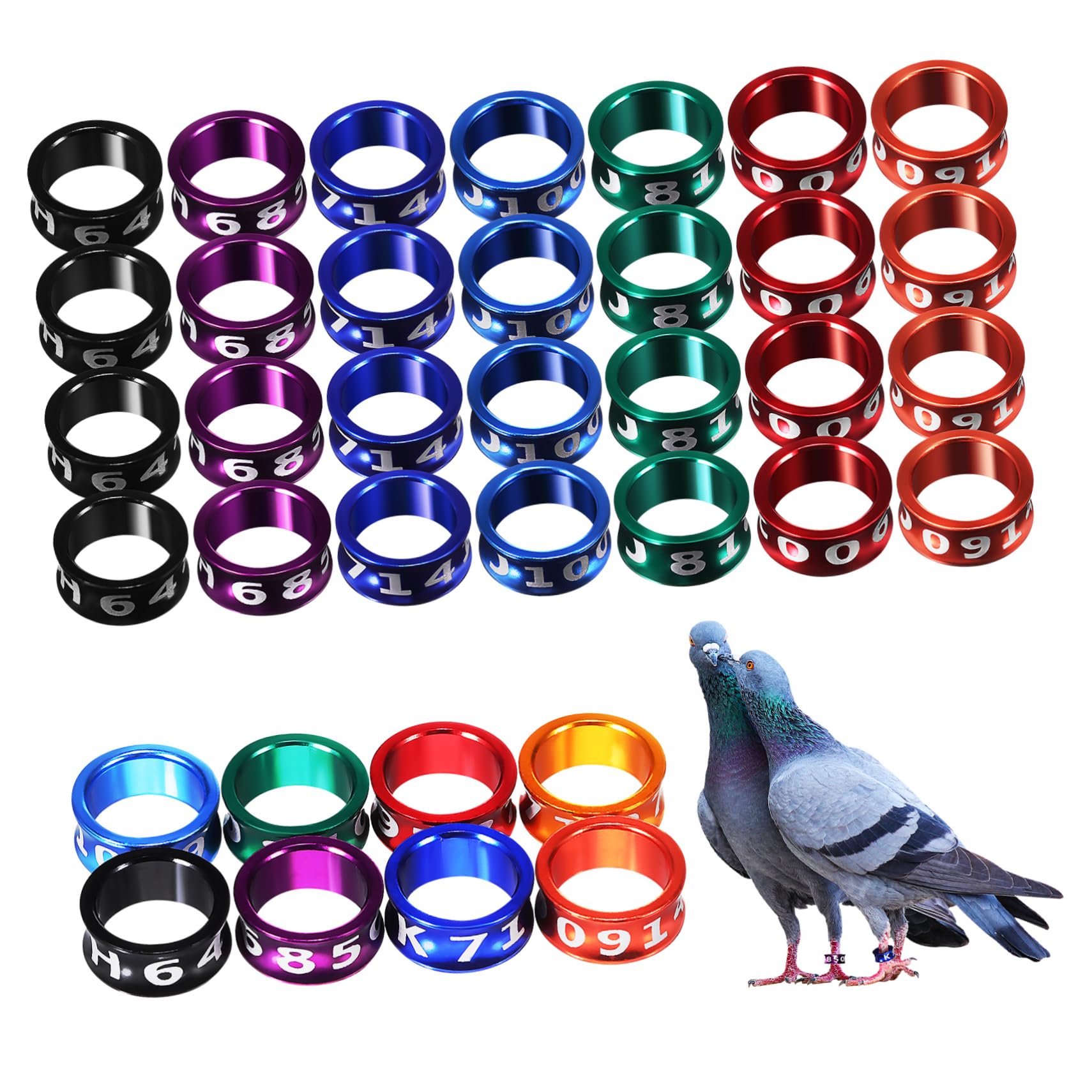 ibasenice 50Pcs Bird Leg Bands for Pigeons Parrots and Canaries Durable Identification Rings with Markings Smooth Surface and Vibrant Colors for Easy Bird Tracking