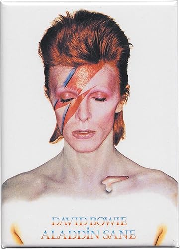 Miniatura 1 de Portada del álbum Aladdin Sane - Imán