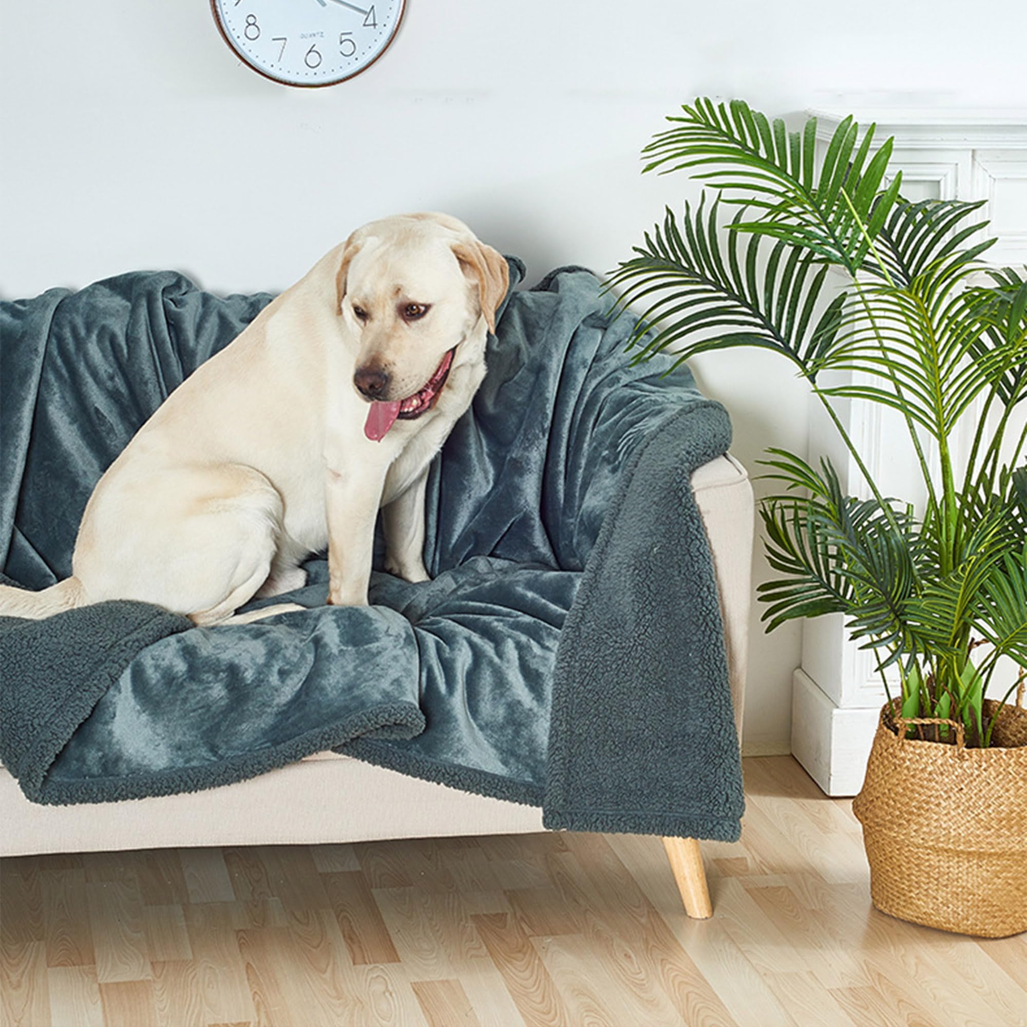 Coperta lavabile per cani, soffice, coperta per cuccioli di gatto, coperta per animali domestici, protezione per divano e letto, copertura per mobili, coperta multifunzionale per cani di