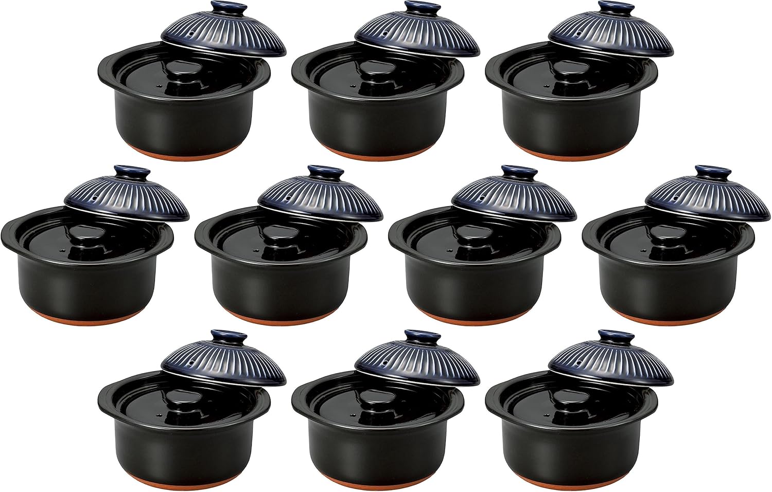 Set of 10, Chrysanthemum Flower Ruri 2-Go Rice Cooker, 8.5 x 7.9 x 6.1 inches (21.5 x 20 x 15.5 cm)