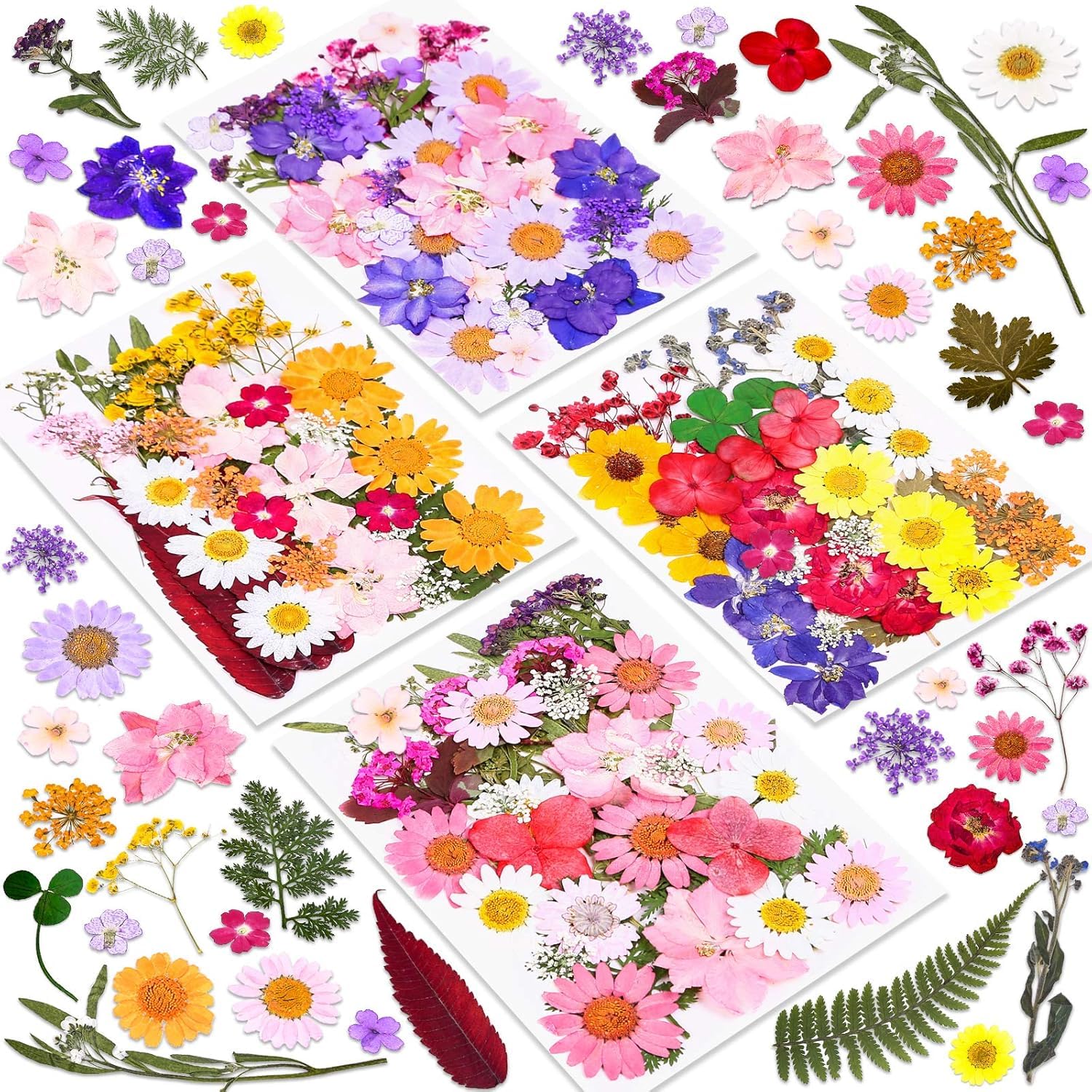 ZHLELEWZ 樹脂用ドライプレスフラワー 140個 本物の押し花 ドライリーフ バルク 天然ハーブキット スクラップブッキング DIY アートクラフト エポキシ樹脂ジュエリー型 キャンドル 石鹸作り ネイル装飾 (A)