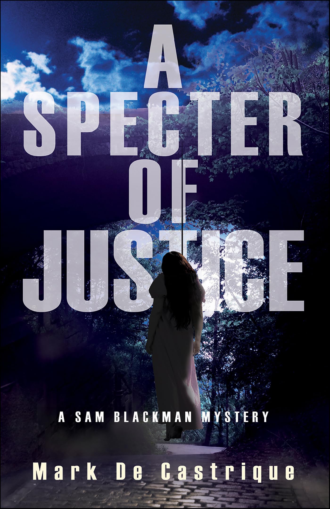 A Specter of Justice (Blackman Agency Investigations Book 5)
