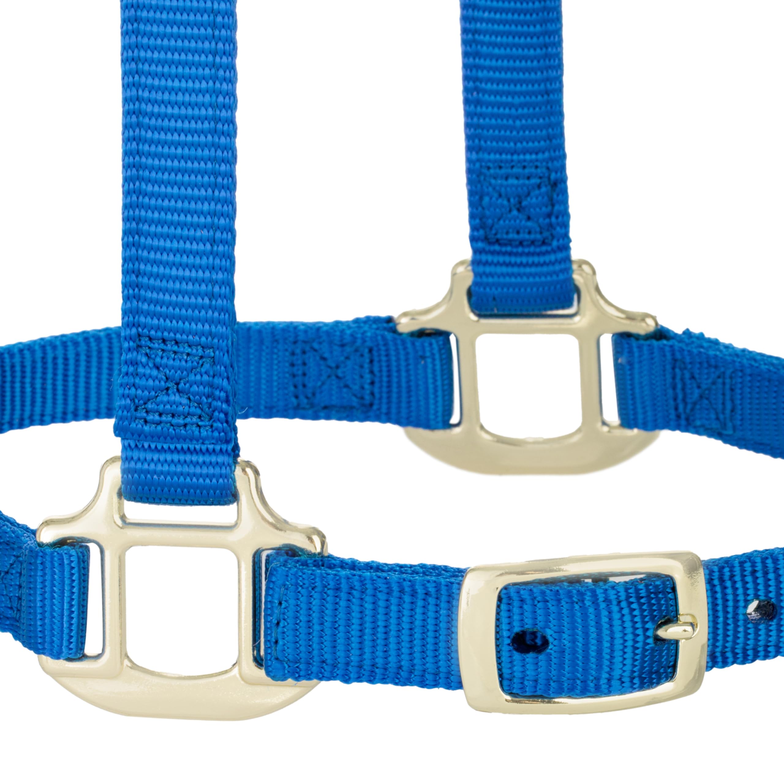 Weaver Leather, Cavezza Regolabile in Nylon per Cavallo, Blu, per svezzamento/Pony