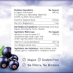 Elderberry Capsules | Immune Support with Vitamin C for Cold & Flu Relief | Sambucus Elderberry & Zinc | Immune Booster for Adults | Cough, Sore Throat & Immunity Vitamins | Made in Canada | 60 Ct