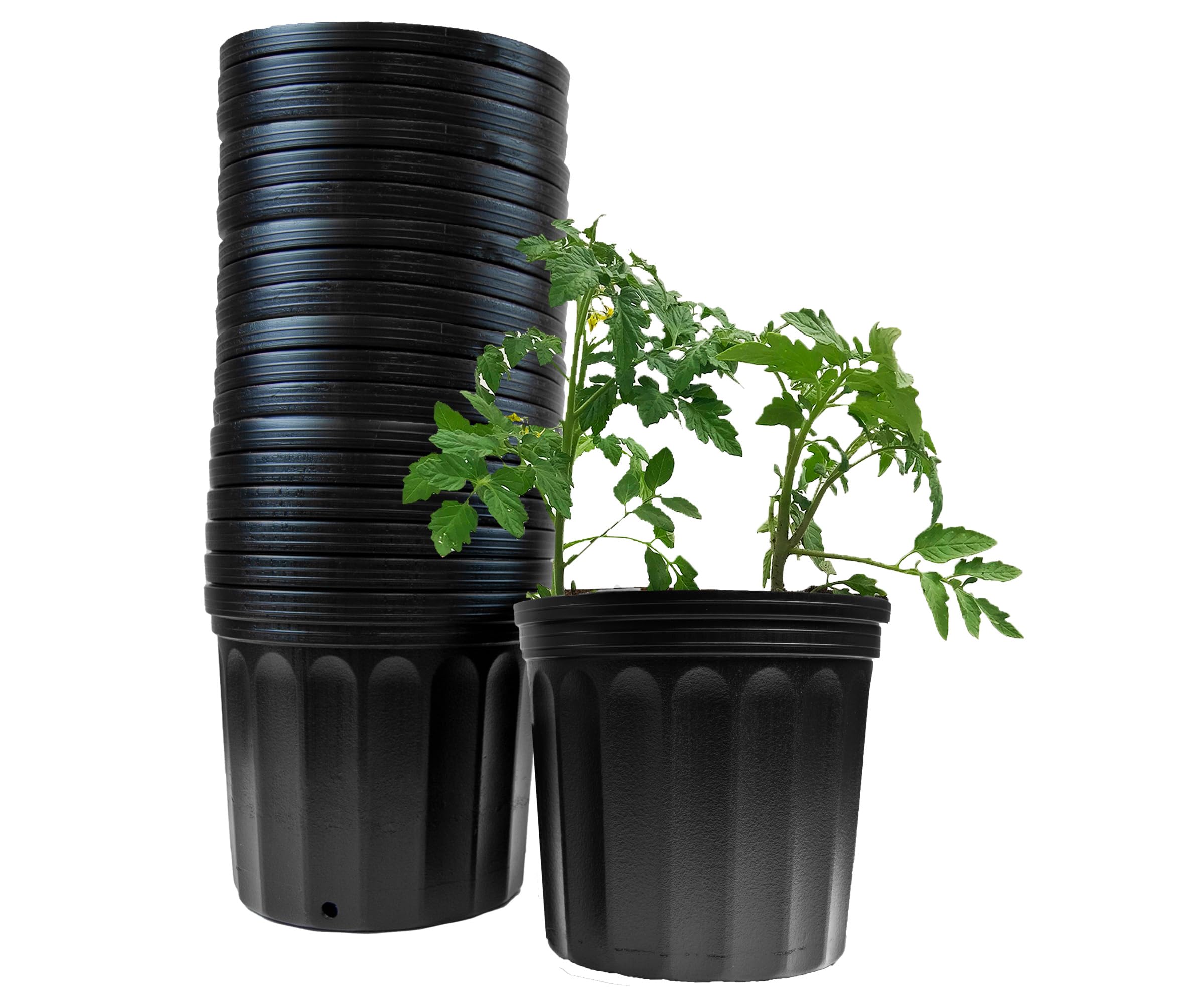 Amazon.com: Viagrow VHPP200-24 VHPP Nursery Pots, 2 Gallon, Black