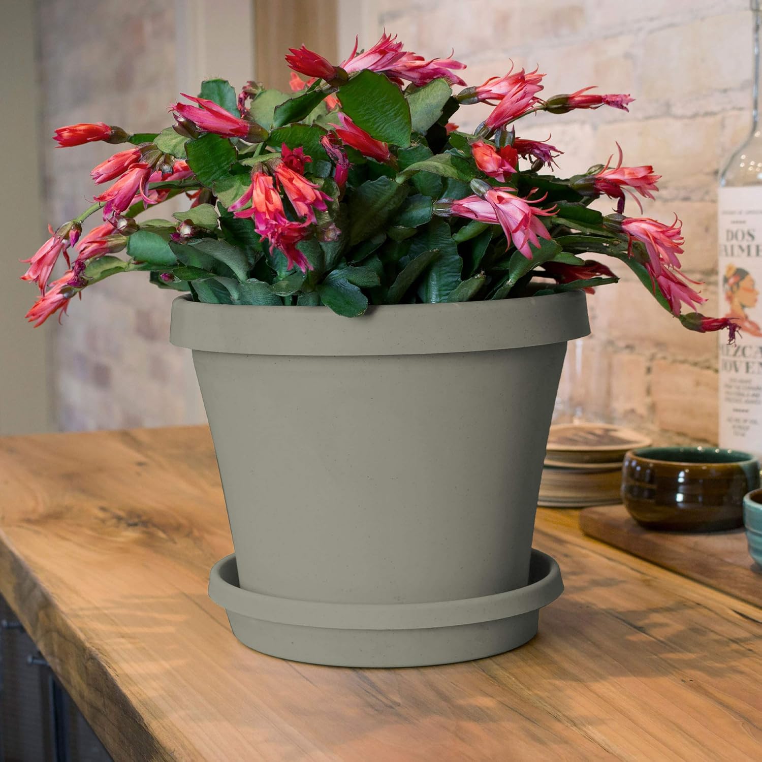 Bloem Terra Pot Planter (TR2083), Pebble Stone, 20" : Patio, Lawn & Garden