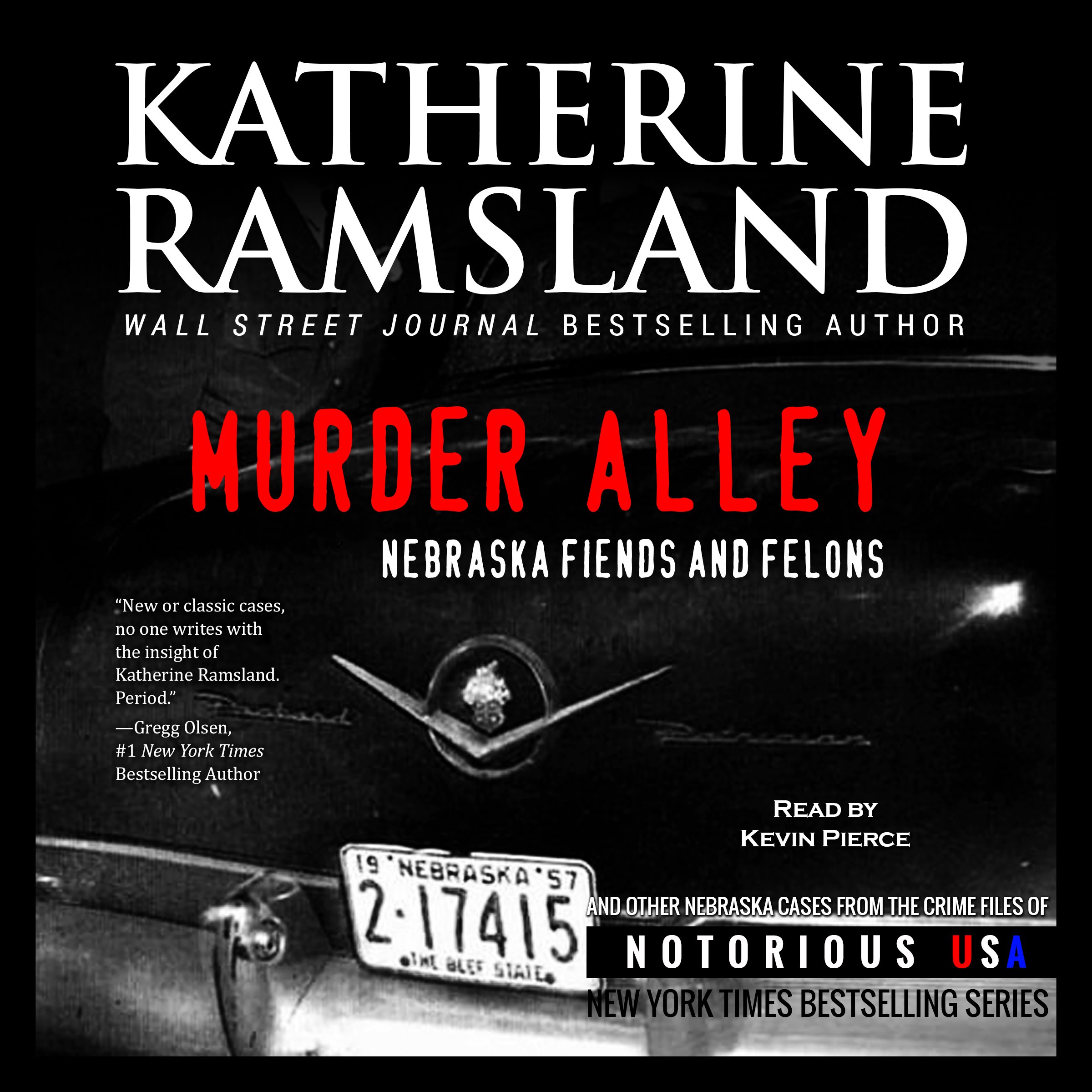 Cover art for Murder Alley (Nebraska, Notorious USA)