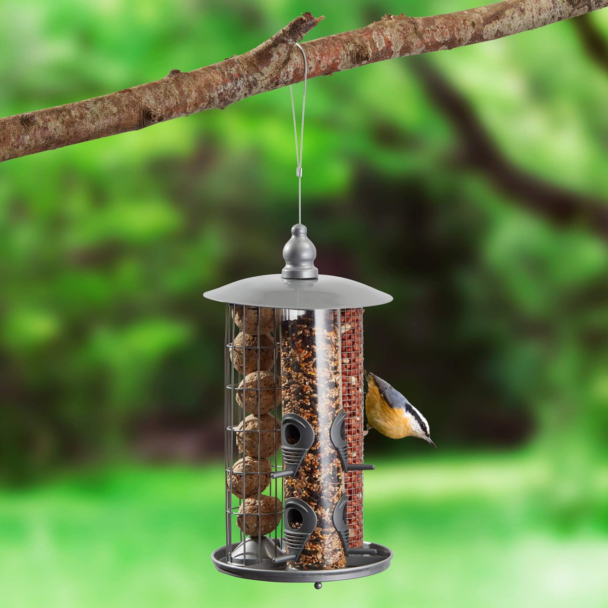 Kingfisher Bird Feeder Wild Bird Feeding Station Suet Ball, Nut & Seed Mix with Tray for Small Birds by Happy Beaks