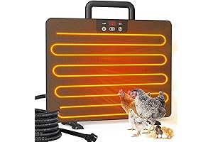 Radiant Tortoise Heater by KETEN: 3 Uses, 100/200W, Efficient, and Safe