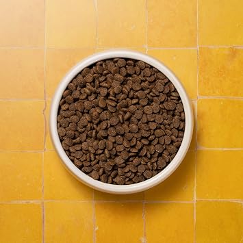 Pooch & Mutt - Adult Minis Superfood Complete Dry Dog Food, Chicken, 1.5kg | Small Sized Kibble, For Small Dogs, Grain Free, Complete Dog Food, Packaging May Vary