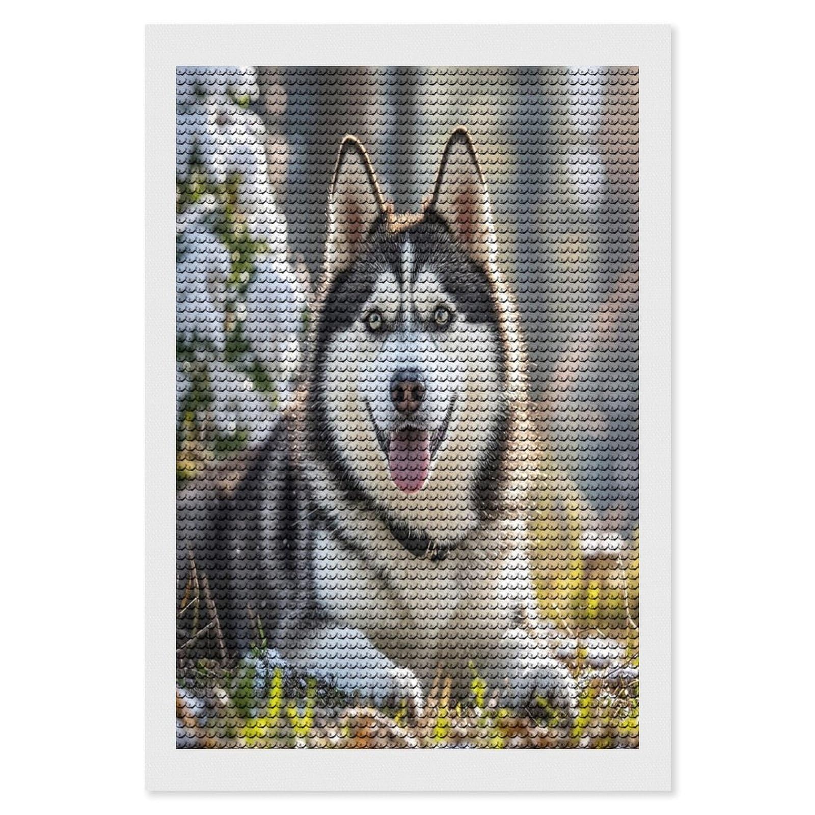 FekiLoot Diamond Art Kits for Adults, DIY 5D Adorable Huskies Diamond Painting Kits for Beginners, Full Round Drill Diamond Dots Painting Gem Art Crafts for Home Wall Decor & Gift 8"x12"
