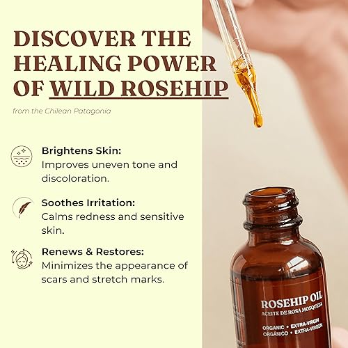 Miniatura 3 de Offernova Rosa de Mosqueta orgánico - Aceite de semilla de rosa mosqueta certificado USDA puro prensado en frío, para cicatrices, estrías, líneas