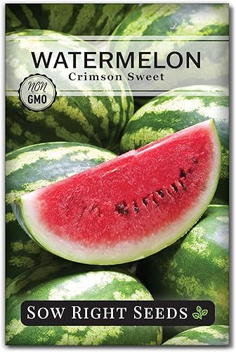 Sow Right Seeds - Semillas de sandía dulce carmesí para plantar - Paquete de reliquia sin OMG con instrucciones para plantar un huerto casero -