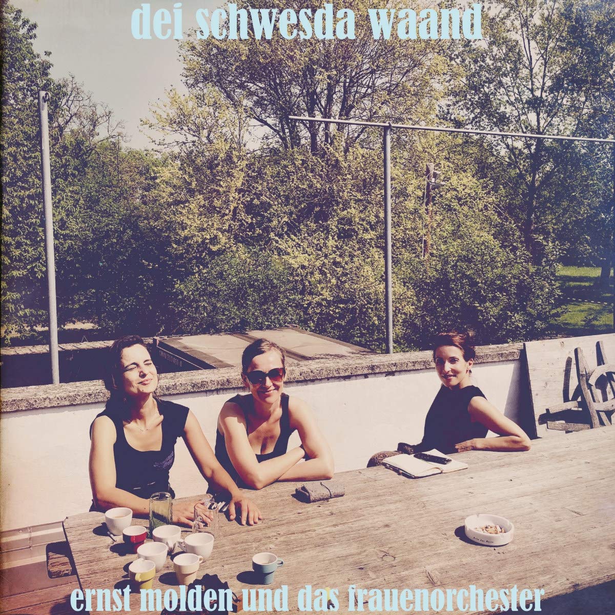 Dei Schwesda Waand [VINYL]