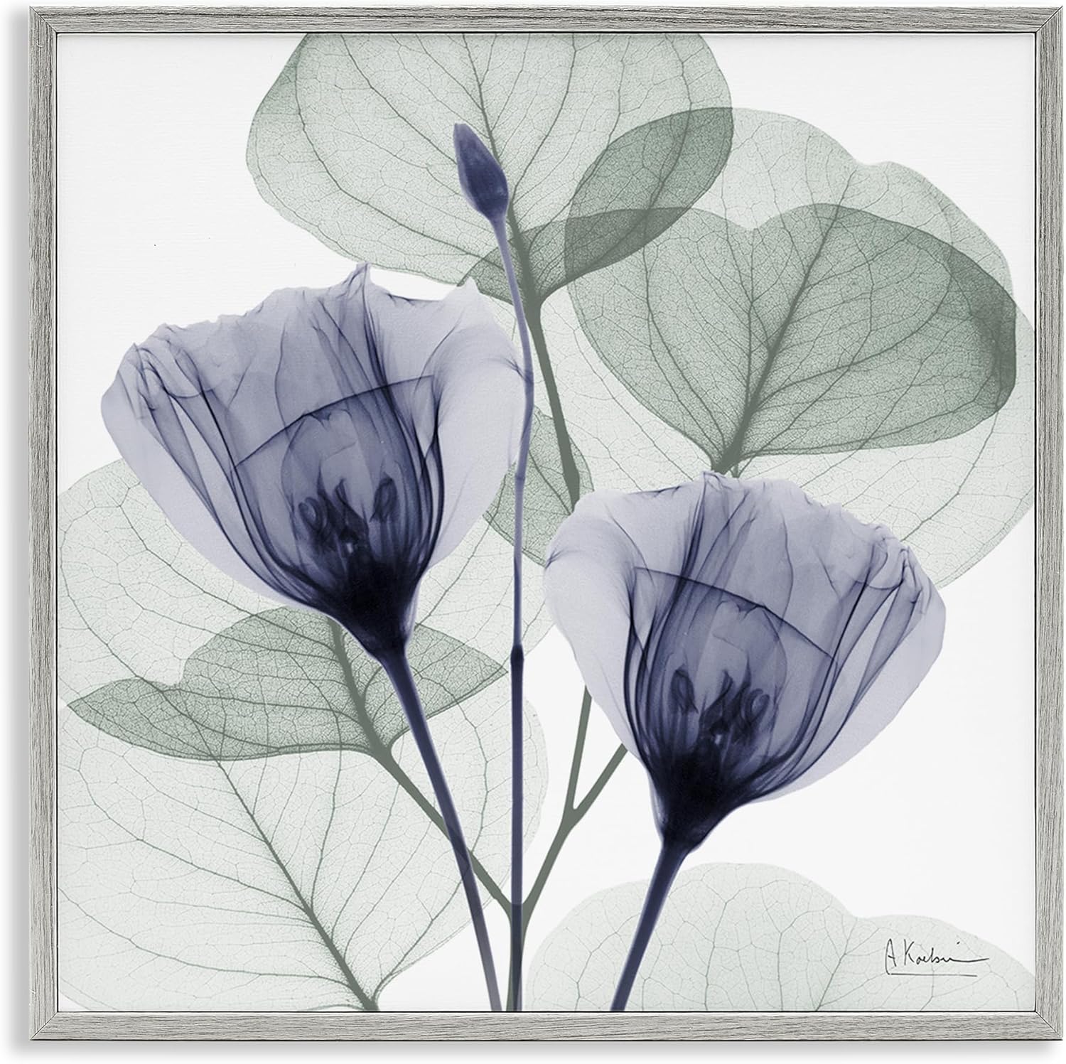 Stupell Industries Contemporary Eucalyptus & Herbs Gray Framed Giclee Art, design by Albert Koetsier, 24 x 24