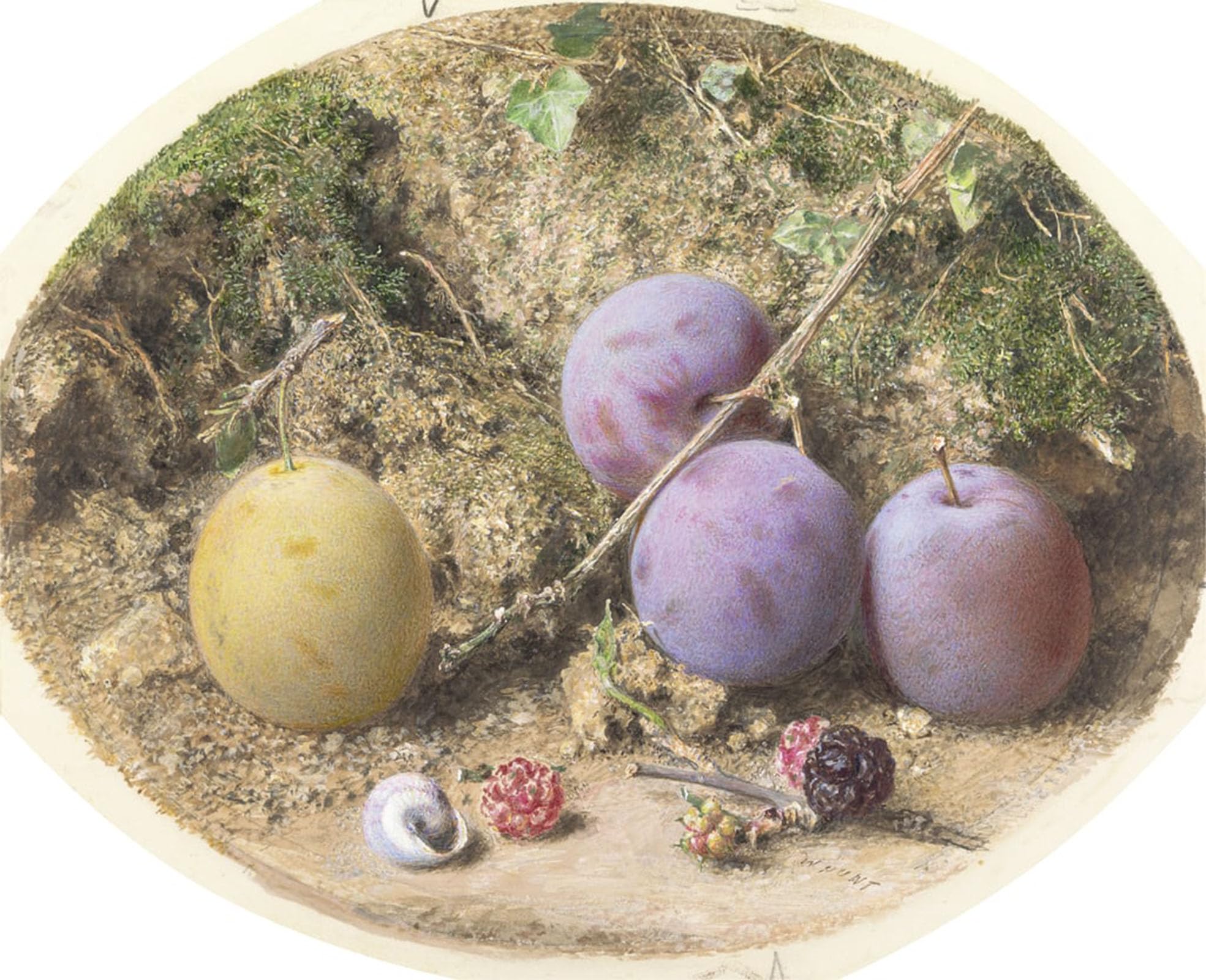 SERENDIPITP Retro Picture Poster Wall Art Pictures Painting Plums and Mulberries by William Henry Hunt Wall Art Canvas Print for Wall Decor 60x90cm