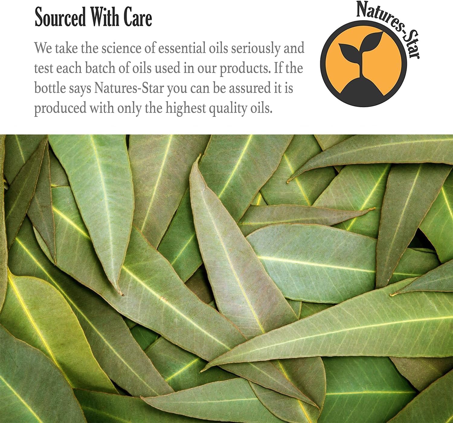 16 oz - Eucalyptus Essential Oil - 16 Fl Oz (Pack of 2) - Image 4