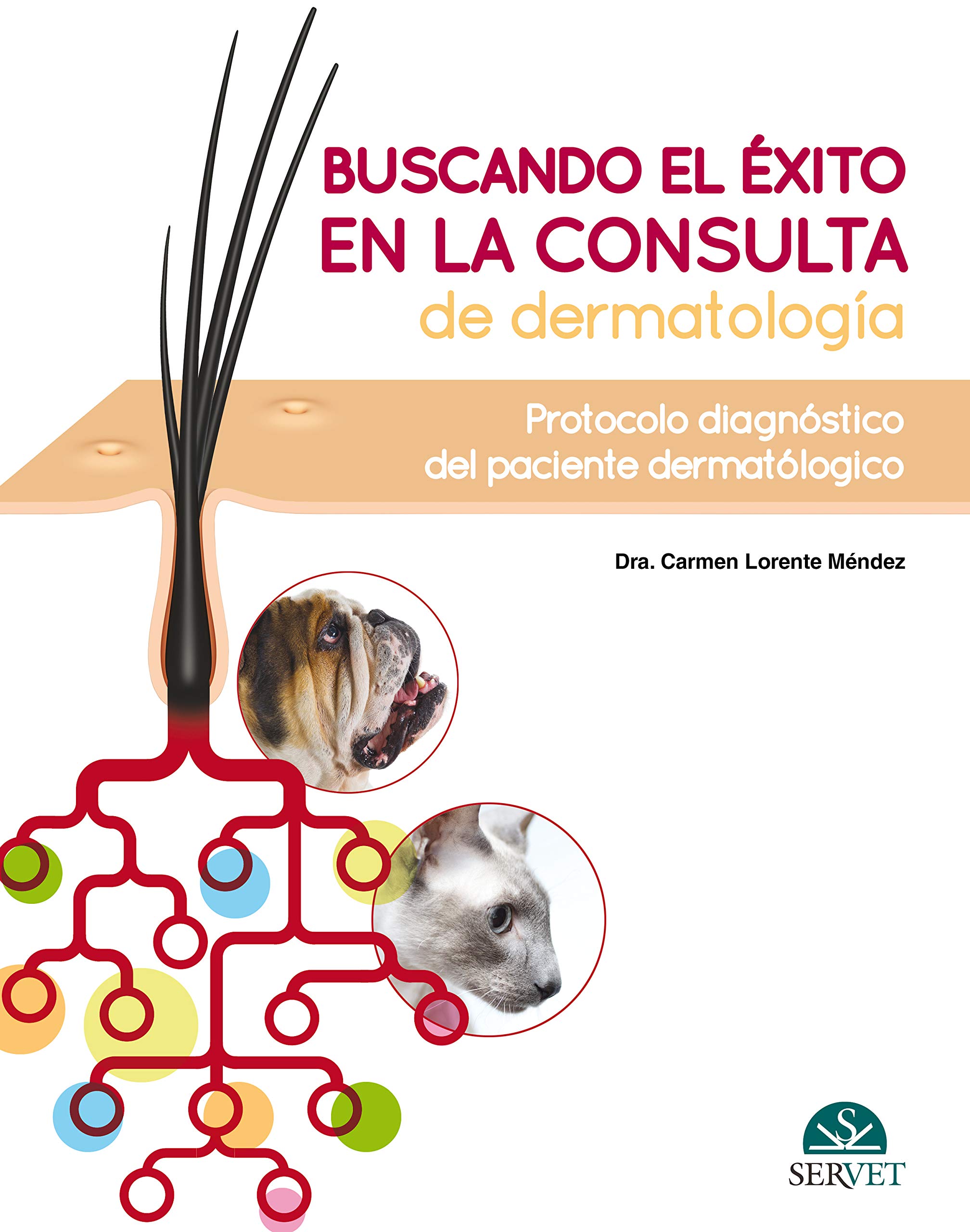 Buy Buscando El Éxito En La Consulta de Dermatología — BookShops.in