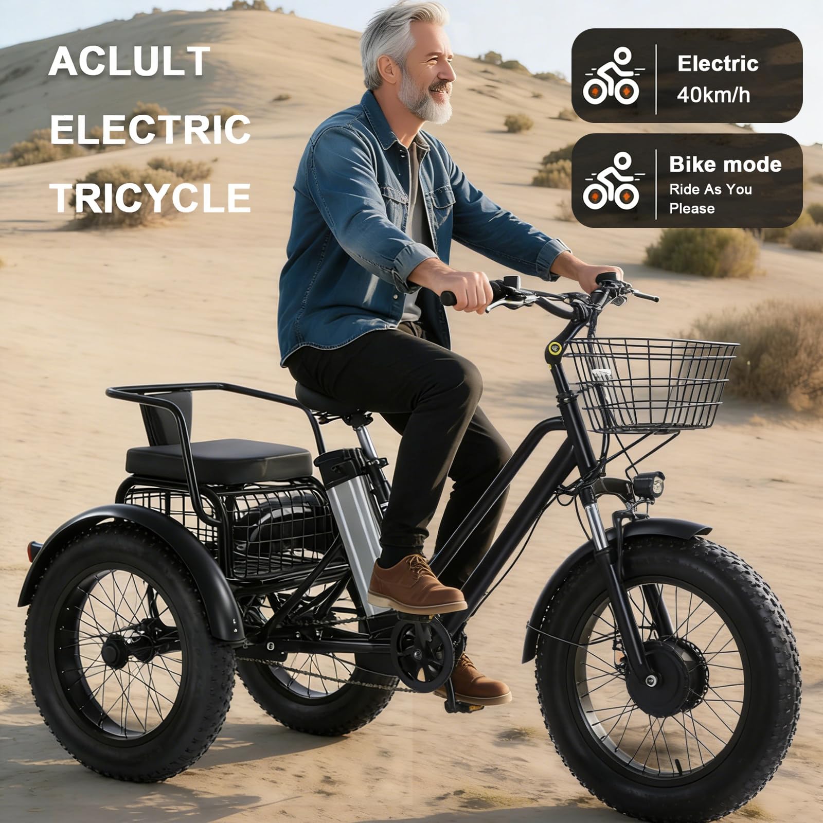Triciclo Elettrico a Tre Ruote per Adulti - Batteria Rimovibile 48V/12Ah, Bici da Carico Elettrica da 20 Pollici, Carico Massimo 250 kg, per Pendolarismo e Viaggi Only-Trike