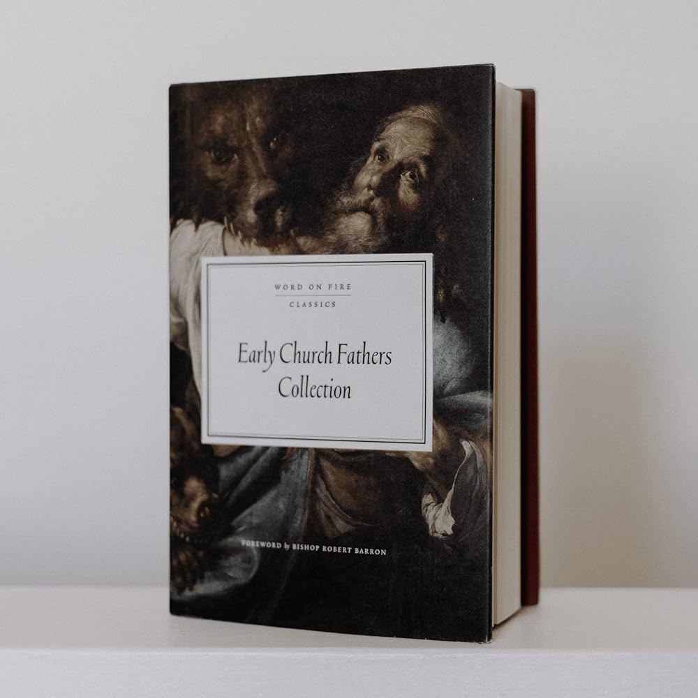 超レア エラー洋書　the fathers of the church ST The Fathers of the Church, 3rd Edition: Aquilina, Mike