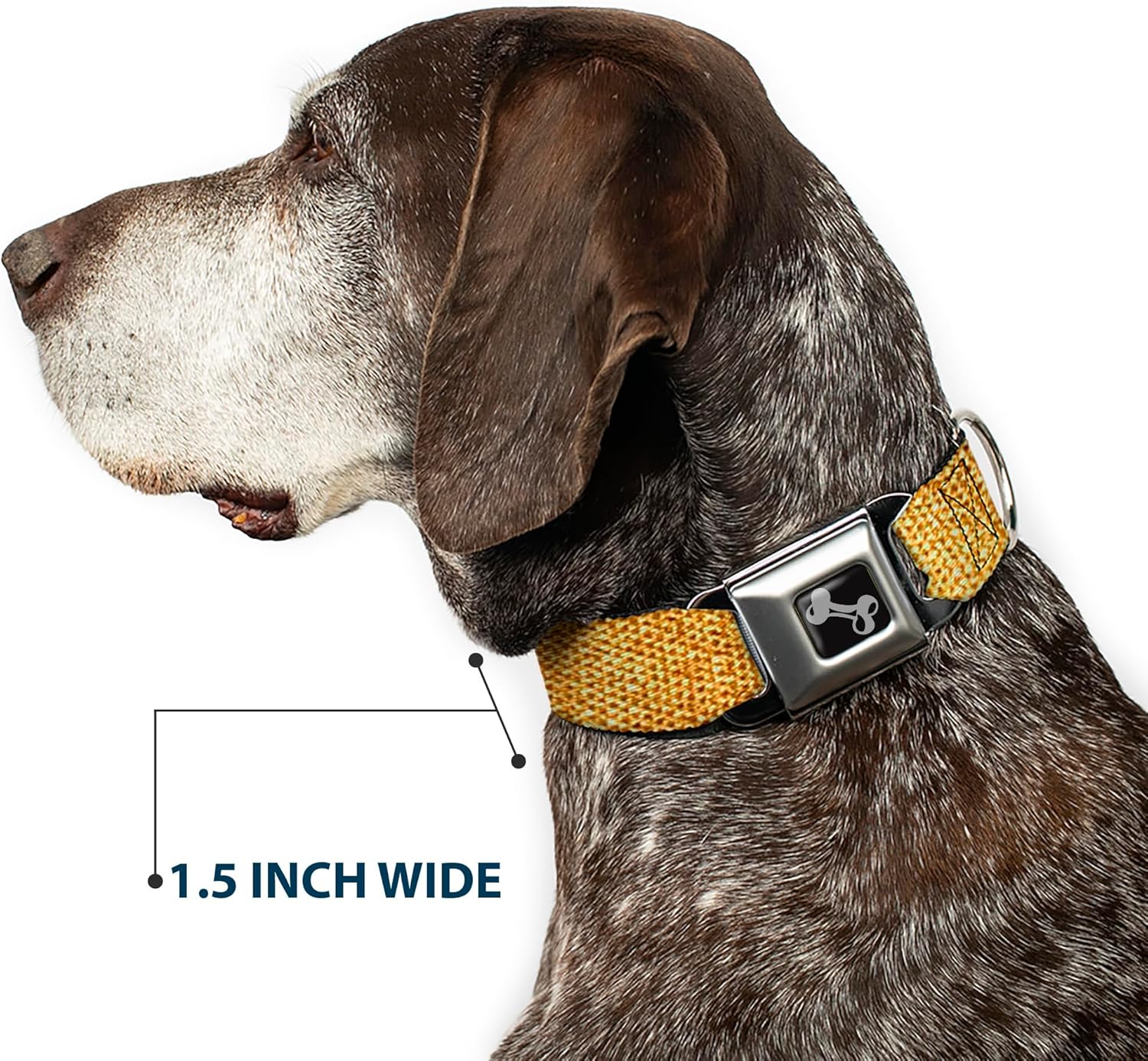 Dog Collar Seatbelt Buckle Metallic Gold 16 to 23 Inches 1.5 Inch Wide