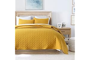 HORIMOTE HOME Ultra-Soft Lightweight Thin Quilt