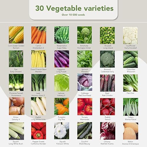 Miniatura 2 de Garden Pack Bolsa de semillas de verduras  30 variedades sin OMG, más de 10,000 semillas tradicionales para plantar verduras  Sellado para