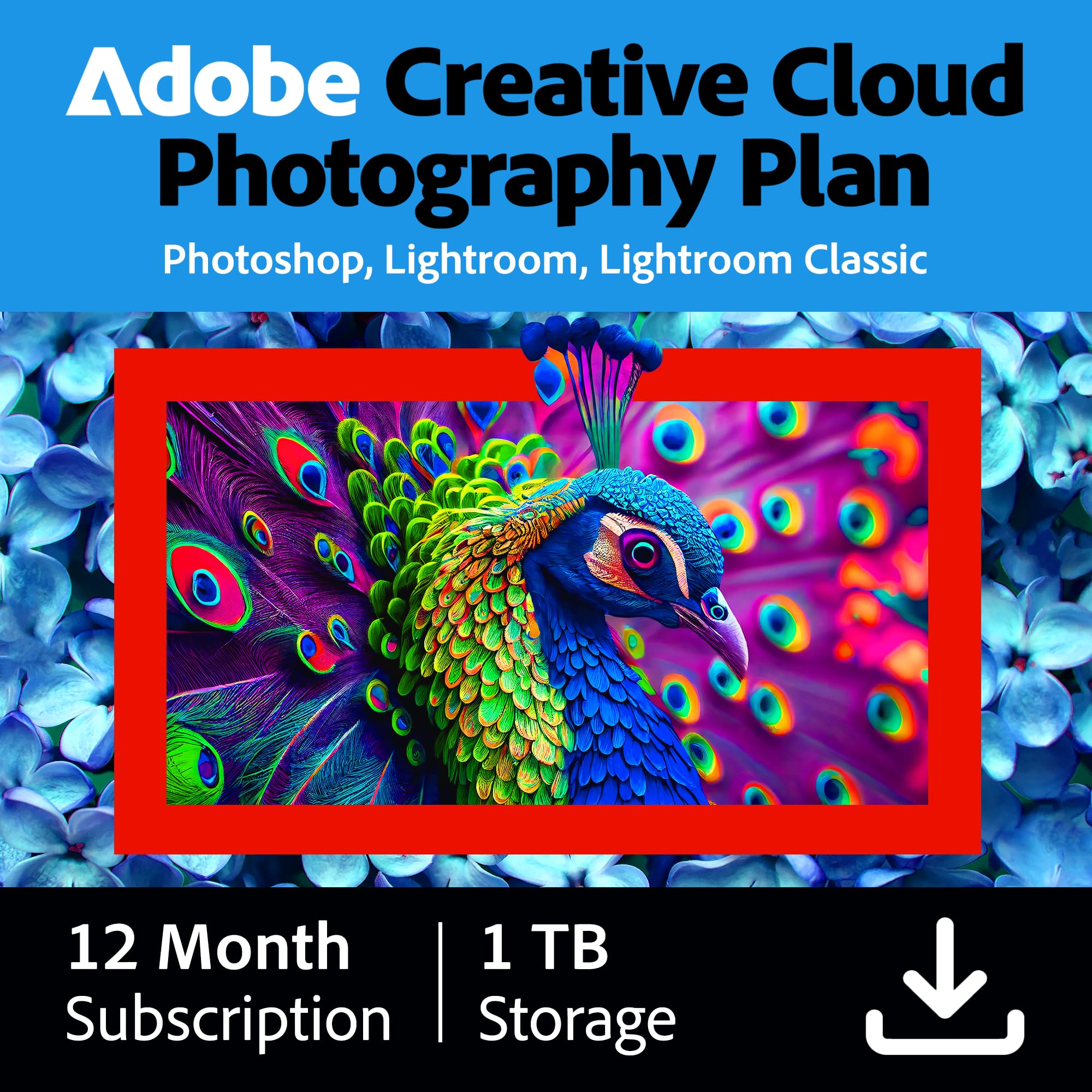 Adobe Creative Cloud 1TB :Photoshop&Lightroom |1 Year| PC/Mac | Digital Download