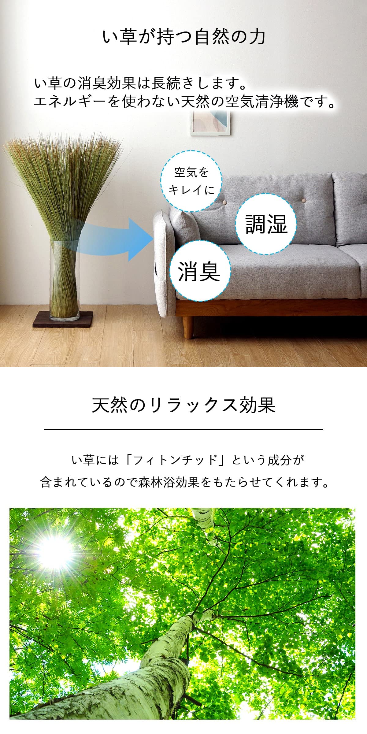 Amazon｜い草 日本製 畳のもと 約95×10cm インテリア オブジェ 雑貨