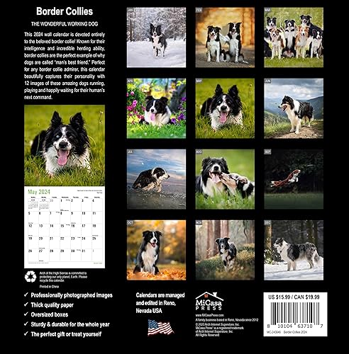 Miniatura 2 de MICASA Border Collies - Calendario mensual de pared colgante 2024  12 x 24 pulgadas abierto  Papel grueso y resistente  Regalo  Lindo perro  El