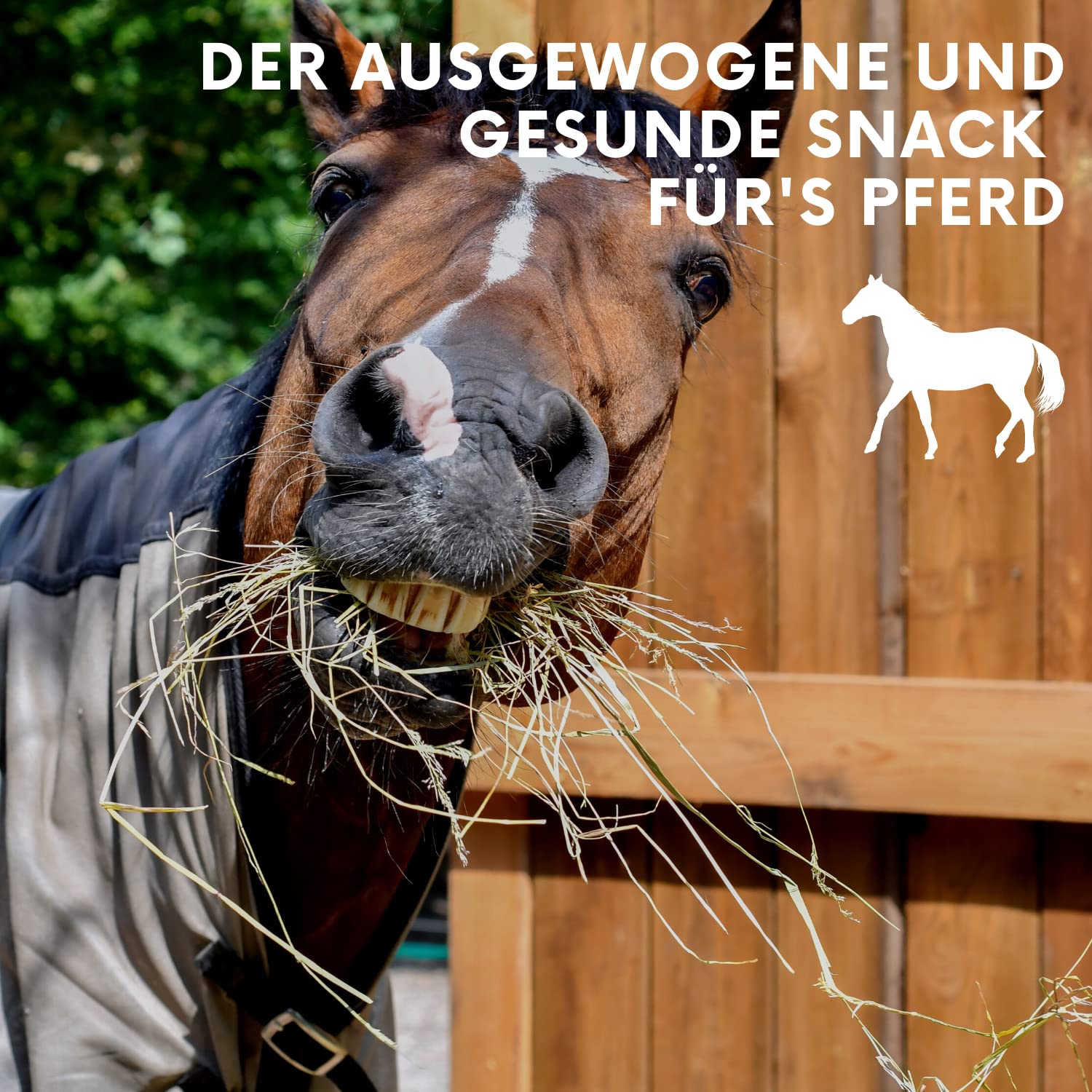 LAX Wiesenprodukte Knusperstangen für Pferde 3 kg (4 Stangen) – Getreide- & melassefreie Raufutter-Snacks mit Heu & Gemüse – Gesundes Ergänzungsfuttermittel & Pferdeleckerli