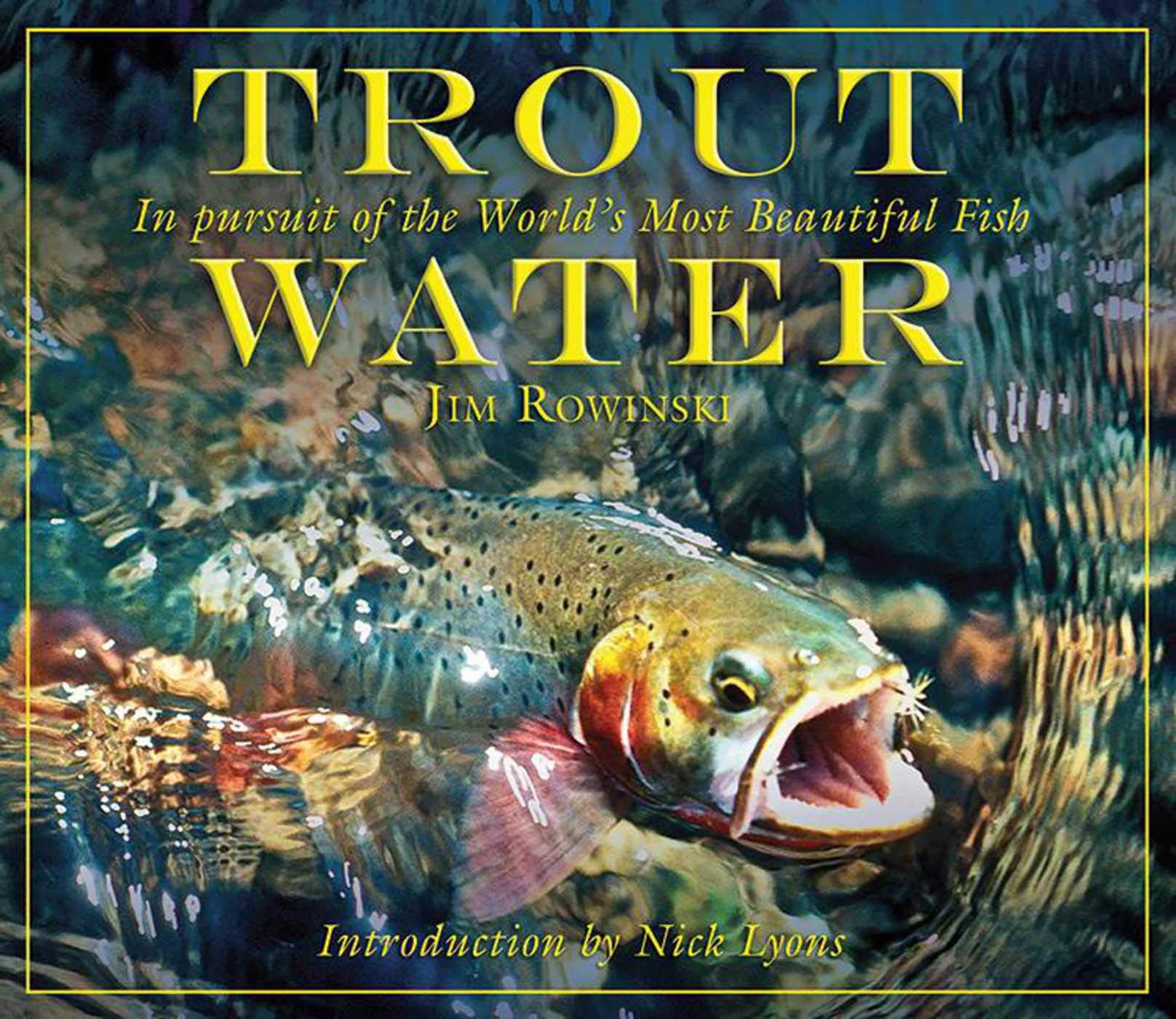 Trout Water: In Pursuit of the World's Most Beautiful Fish