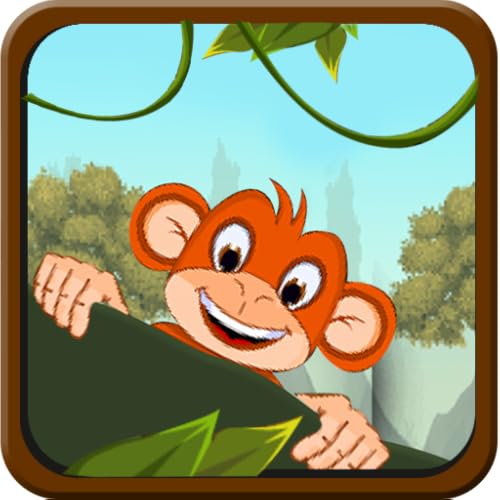 Monkey Swing Climbing Rope