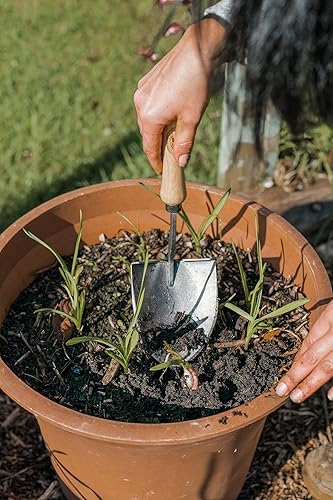 Miniatura 3 de Tierra Garden Dewit WELLDONE American Mini pala - Mango corto