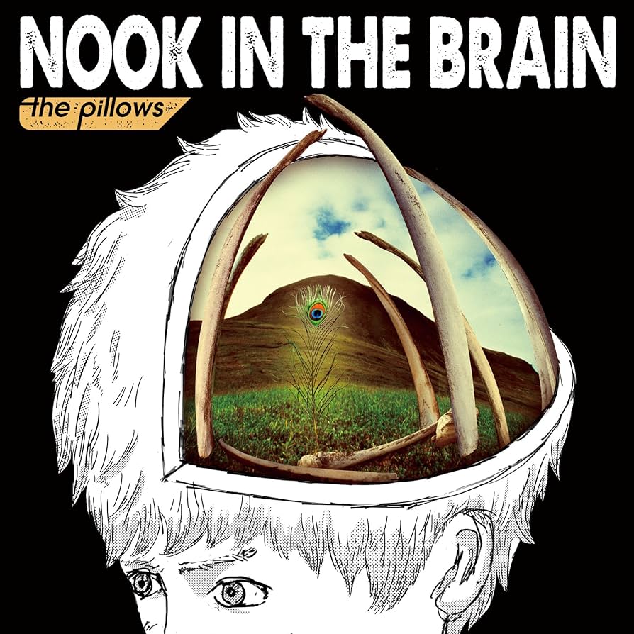 Amazon.co.jp: NOOK IN THE BRAIN (初回限定盤(CD+DVD
